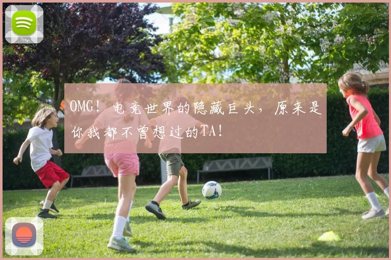 OMG！电竞世界的隐藏巨头，原来是你我都不曾想过的TA！
