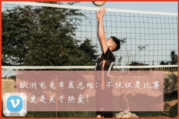 欧洲电竞年度总结：不仅仅是比赛，更是关于热爱！