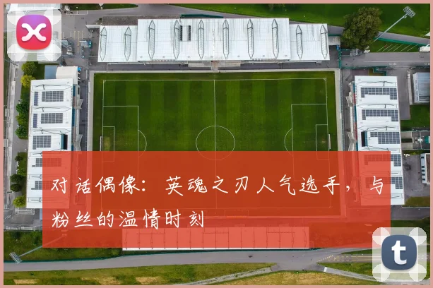 对话偶像:英魂之刃人气选手,与粉丝的温情时刻