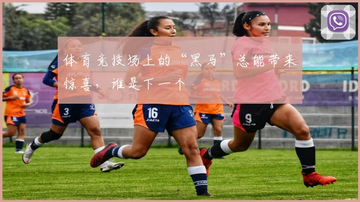 体育竞技场上的“黑马”总能带来惊喜，谁是下一个