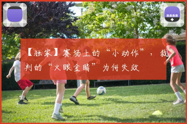 【独家】赛场上的“小动作”，裁判的“火眼金睛”为何失效